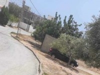 Un terrain clôturé à vendre à Hammamet Nord 513553