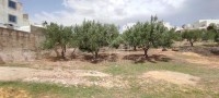 Un terrain clôturé à vendre à Hammamet Nord 513553