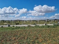 Un terrain clôturé de 1000 m² à vendre à Hammamet 