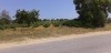Un Terrain De 1 Ha Dans Les Environs De Hammamet