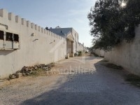 Un terrain de 1000 m² à vendre à 180 MD à Hammamet