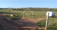 Un terrain de 1000 m² à vendre à 85 MD 51355351