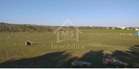 Un terrain de 1000 m² à vendre à 85 MD 51355351