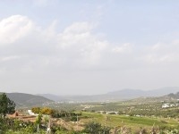 Un terrain de 1000 m² à vendre à 55 MD 51355351