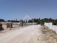 Un terrain de 1000 m² à vendre à Hammamet 51355351