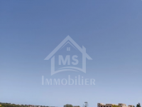 Un terrain de 1000 m² à vendre à Hammamet 51355351