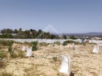 Un terrain de 1000 m² à vendre à Hammamet 51355351
