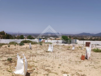 Un terrain de 1000 m² à vendre à Hammamet 51355351