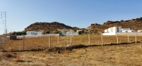 Un terrain de 1000 m² à vendre 51355351