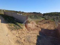Un terrain de 1312 m² à vendre à 55 MD 51355351