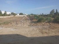Un terrain de 1380 m² à vendre à Hammamet 51355351