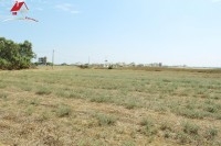 Un Terrain de 179 m² 