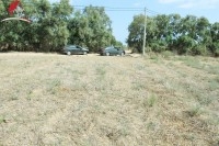 Un Terrain de 179 m² 