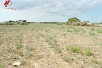 Un Terrain de 179 m² 