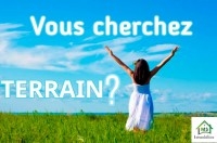 Un terrain de 295 m² à vendre à 310 MD 51355351