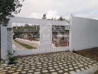 Un terrain de 3000 m² à vendre à Hammamet Sud 