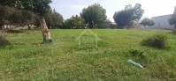 Un terrain de 350 m² à vendre à 210 MD 51355351