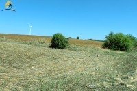 Un terrain de 4000 m² 