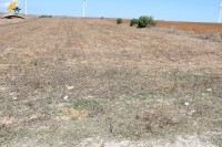 Un terrain de 4000 m² 