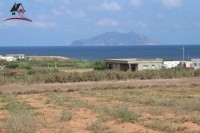 Un Terrain de 4000 ² à borj salhi_Haouaria