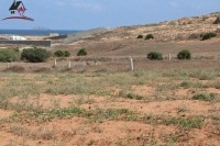 Un Terrain de 4000 ² à borj salhi_Haouaria
