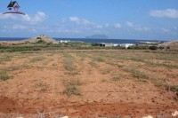 Un Terrain de 4000 ² à borj salhi_Haouaria