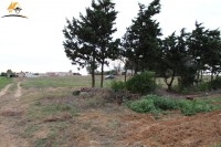 Un terrain de 6000 m² à Kerkouane _Dar allouche