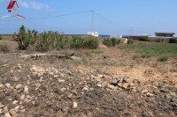 un terrain de 7000 m² à borj salhi_Haouaria 