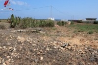 Un Terrain de 7000 m² à Borj Salhi_ Kélibia