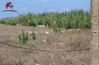 Un terrain extra de 1000 m² 
