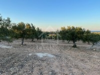Un terrain vue de mer à vendre à Maamoura 51355351
