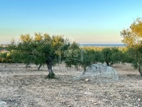 Un terrain vue de mer à vendre à Maamoura 51355351