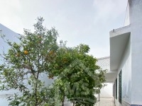 Une belle maison à vendre à Nabeul 51355351