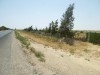 une ferme à Gabés de 4 hectare km 18 route de sfax