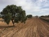 vendre au echange