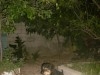 vendre  chien rottweiler géant race pure mal de mo