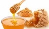 vente du miel pure biologique