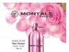 Vente en gros Eau de Parfum MONTALE PARIS 100ml