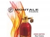 Vente en gros Eau de Parfum MONTALE PARIS 100ml