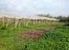 VENTE FERME DE LUXE OUED ELLIL