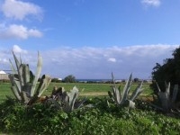 vente maison àprès de la mer au cap bon