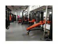 vente matériel de fitness très professionnel 