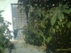 VENTE OCCASION A KSAR SAID 2