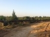 Vente terrain à el Jedaida 5500m2