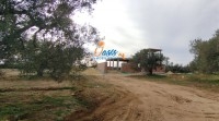 Vente Terrain El Yasmine 