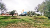 Vente Terrain El Yasmine 