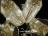 vente tous les arcticles de mariage 