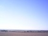VENTE UN HECTARE AVEC AUTOR BATIR