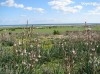 VENTE UN HECTARE AVEC AUTOR BATIR