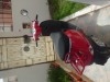 vespa lx rouge toute neuve